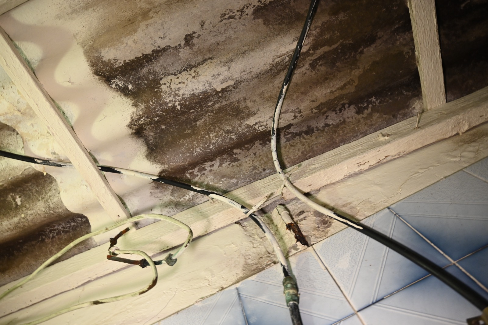 WhatsApp Image 2022-03-06 at 8.45.31 PM (1).jpeg